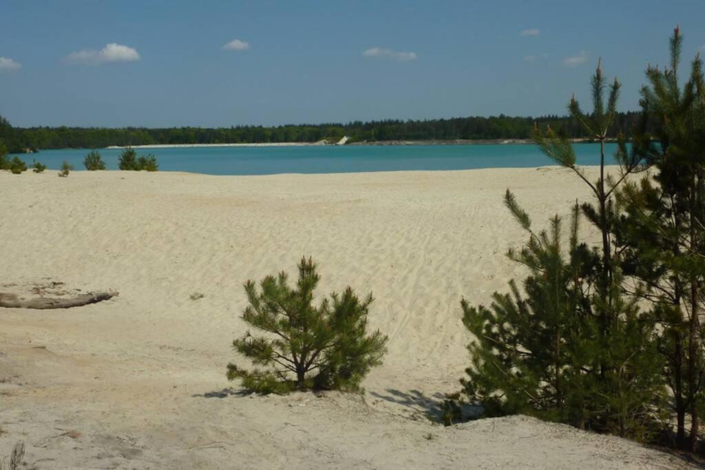 Sfeervolle Villa In Gasselte Drenthe Bij Hemelriek Екстер'єр фото